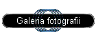Galeria fotografii