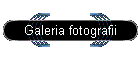 Galeria fotografii